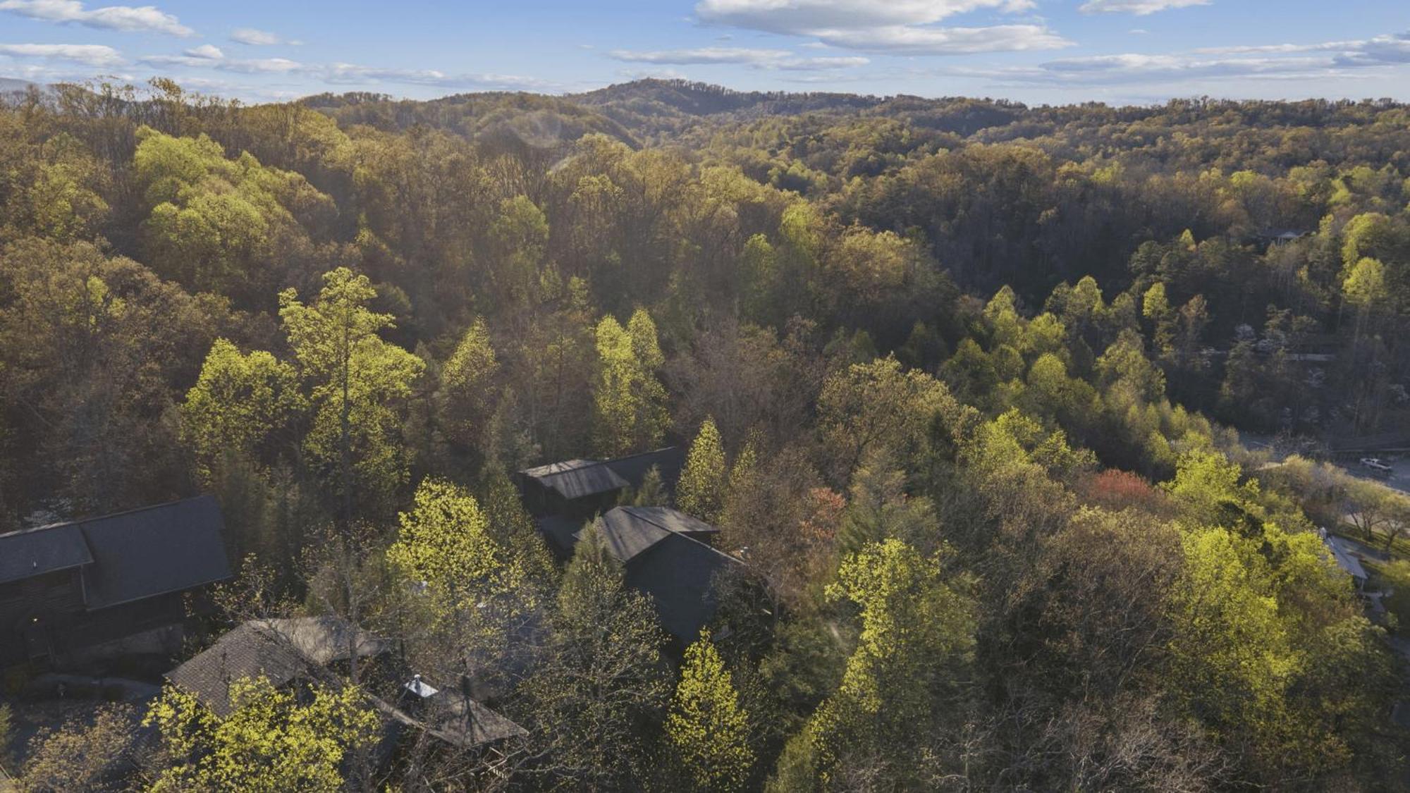 Stunning Mountain Cabin W Hot Tub Gatlinburg Eksteriør bilde